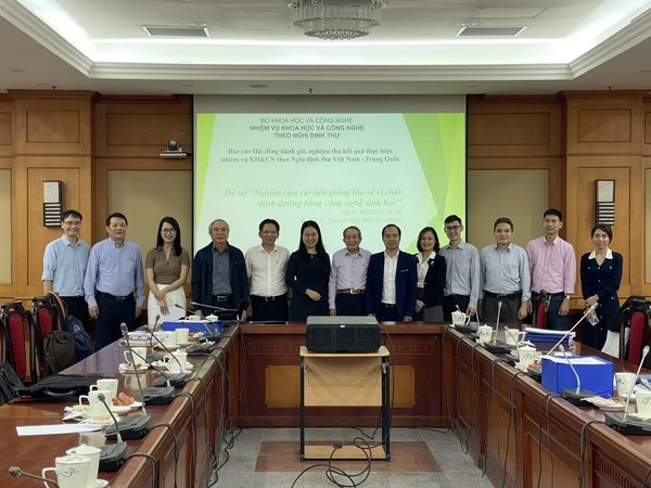 Nghiên cứu cải tiến giống lúa về vi chất dinh dưỡng bằng công nghệ sinh học