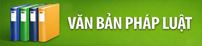 VN pháp luật