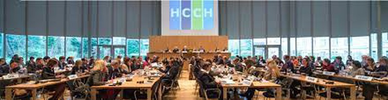 Giới thiệu về Hội nghị La Hay về tư pháp quốc tế và các hoạt động của Việt Nam trong khuôn khổ Hội nghị