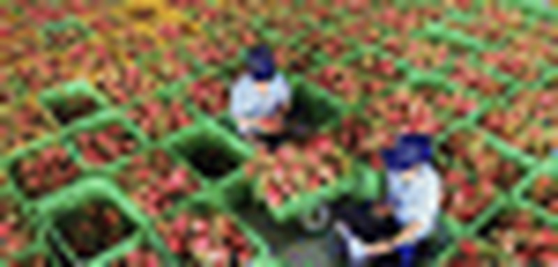 Giới thiệu Luật Chuyển đổi số của Hàn Quốc